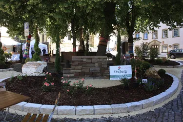 Foto 4 von 159