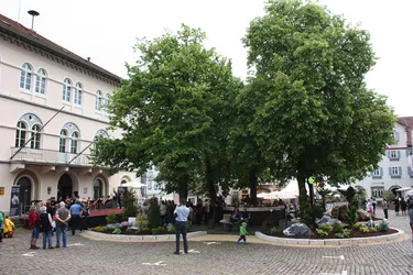 Foto 27 von 78