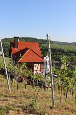 Foto 47 von 371