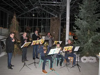 Foto 3 von 51