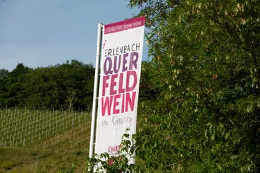 Foto 7 von 187
