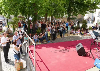 Foto 62 von 78