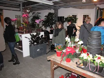 Foto 11 von 51