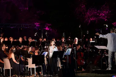 Foto 61 von 134