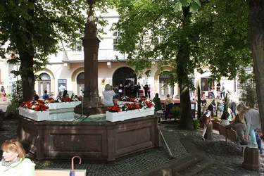 Foto 42 von 78