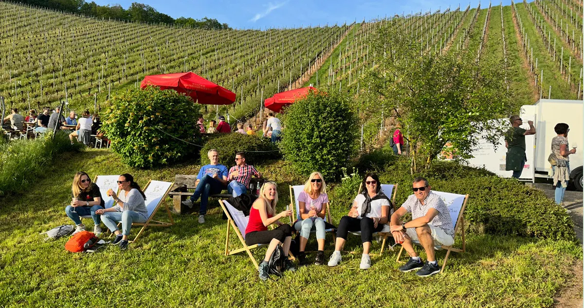 Gäste in Liegestühlen im Weinberg am Kayberg bei QuerFeldWein