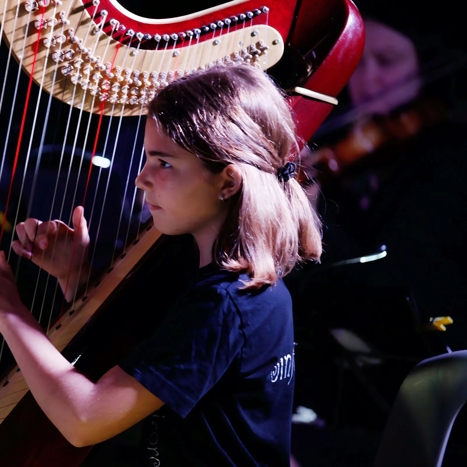 Eine Schülerin spielt Harfe bei einem Abendkonzert im Freien